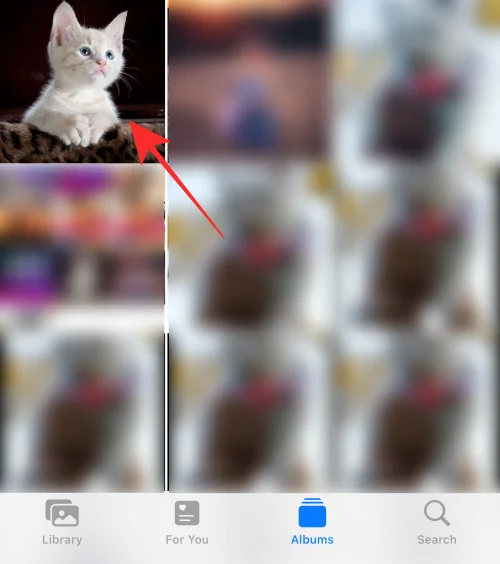 iOS 16의 iPhone 사진 앱에서 편집 내용을 복사하는 방법