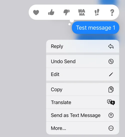 iPhone에서 메시지 보내기를 취소할 수 없는 이유는 무엇입니까?  이유 및 해결 방법