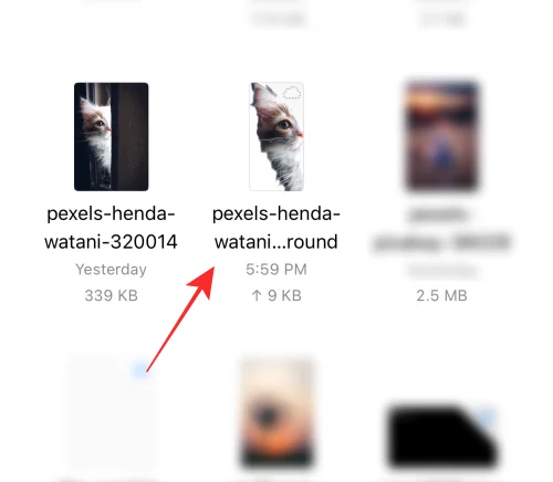 [쉬움] iPhone 또는 iPad에서 파일 앱을 사용하여 배경을 제거하는 방법