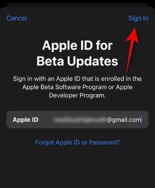 如何為 iOS Beta 更新選擇不同的 Apple ID