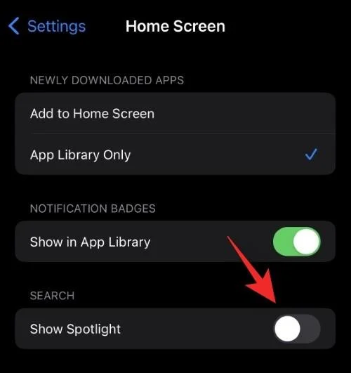 iOS 16 홈 화면의 검색 버튼은 무엇입니까?