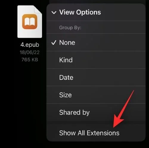 iOS 16에서 iPhone의 파일 확장자를 변경하는 방법