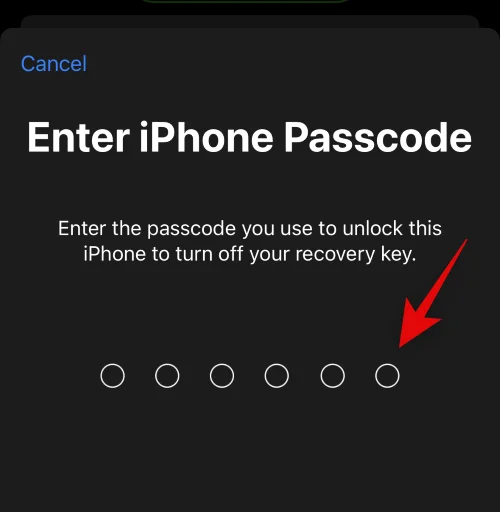 iPhone의 고급 데이터 보호란 무엇입니까?  활성화하는 방법과 이유