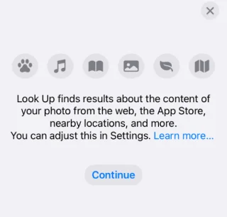 iPhone에서 시각적 조회가 작동하지 않나요? 문제를 해결하는 7가지 방법