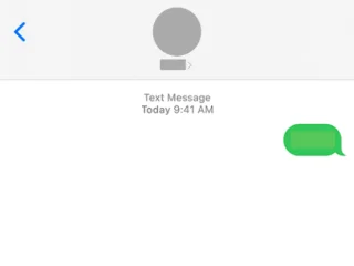 iPhone에서 녹색 문자 메시지 보내기를 취소할 수 있나요?