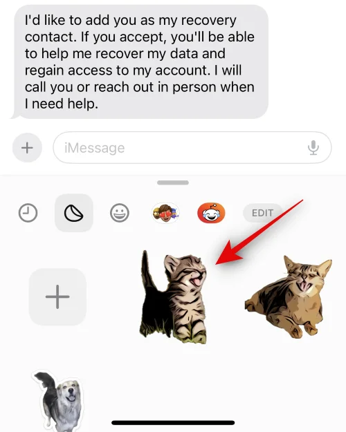 iOS 17以降で写真を使用してLiveステッカーを作成する方法