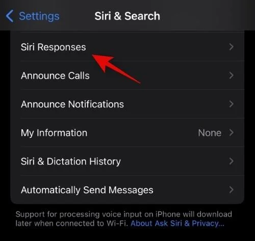iPhone에서 Siri가 자동으로 응답하도록 만드는 방법