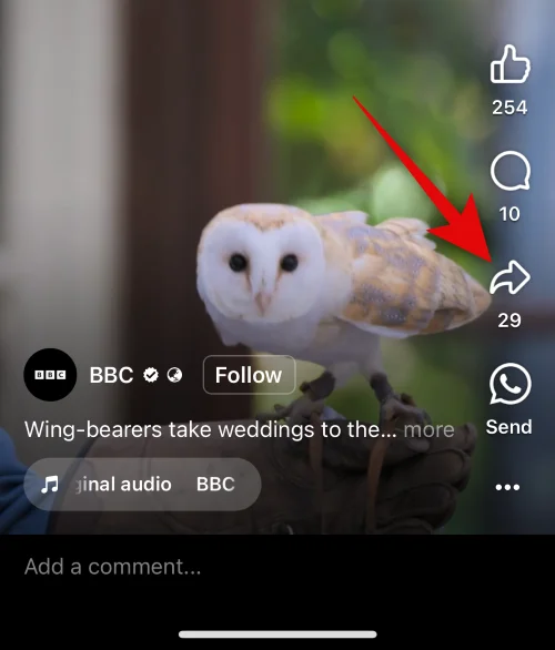 iPhone에서 Facebook에 복사하여 붙여넣는 방법 [2023]