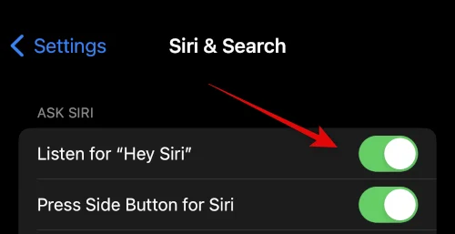 iPhone 14에서 Siri를 다운로드하고 사용하는 방법