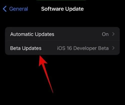如何為 iOS Beta 更新選擇不同的 Apple ID