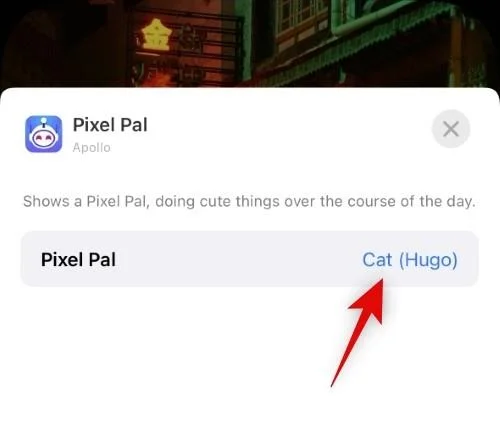 iPhone 14 Pro 및 Pro Max에서 Pixel Pals를 얻는 방법
