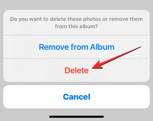 iPhone에서 모든 사진을 삭제하는 방법 [2023]