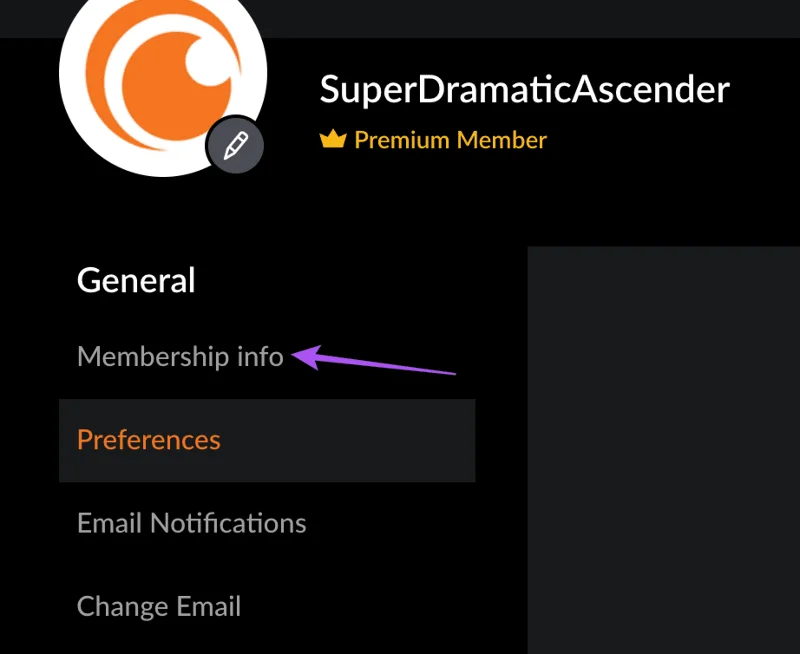 7 beste oplossingen voor Crunchyroll werkt niet op Android TV