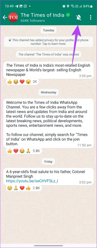 Canaux WhatsApp et canaux Telegram&nbsp;: connaître les différences