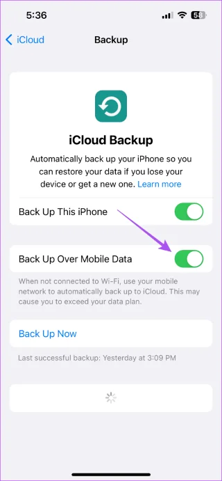 Hoe u automatische back-up naar iCloud op iPhone, iPad en Mac kunt stoppen