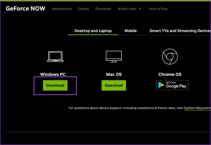 Las 9 formas principales de corregir el código de error 0x800b1004 de GeForce NOW en Windows 11