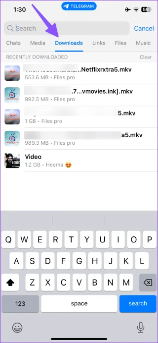 Les 4 meilleures façons de regarder des vidéos téléchargées depuis Telegram sur iPhone