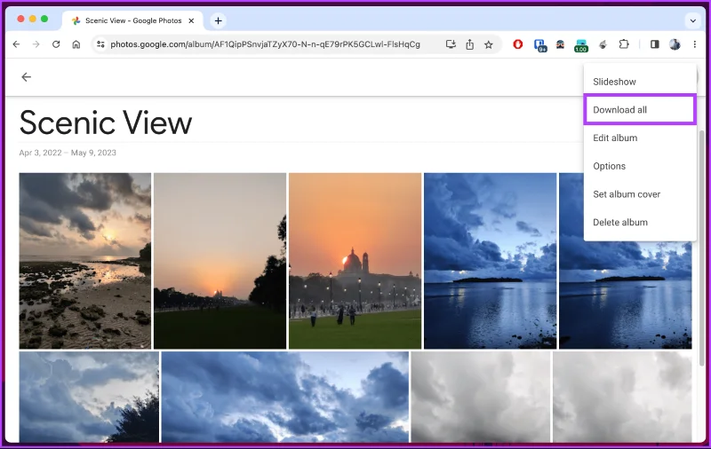 Foto's downloaden van Google Foto's op desktop en mobiel