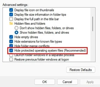 Cómo mostrar archivos ocultos en Windows 11