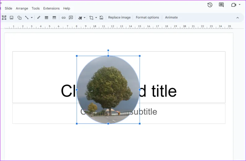 Come rendere circolari le immagini in Presentazioni Google