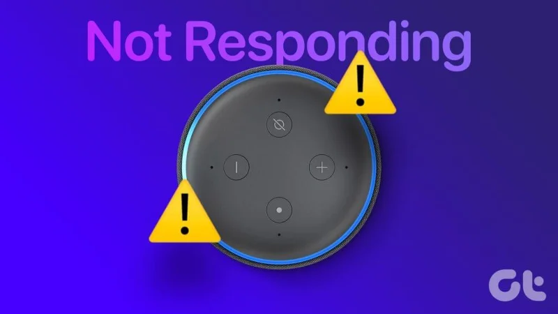 8 correzioni per Alexa che non risponde ma si accende