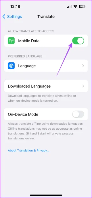 7 beste oplossingen voor de Translate-app die niet werkt op de iPhone