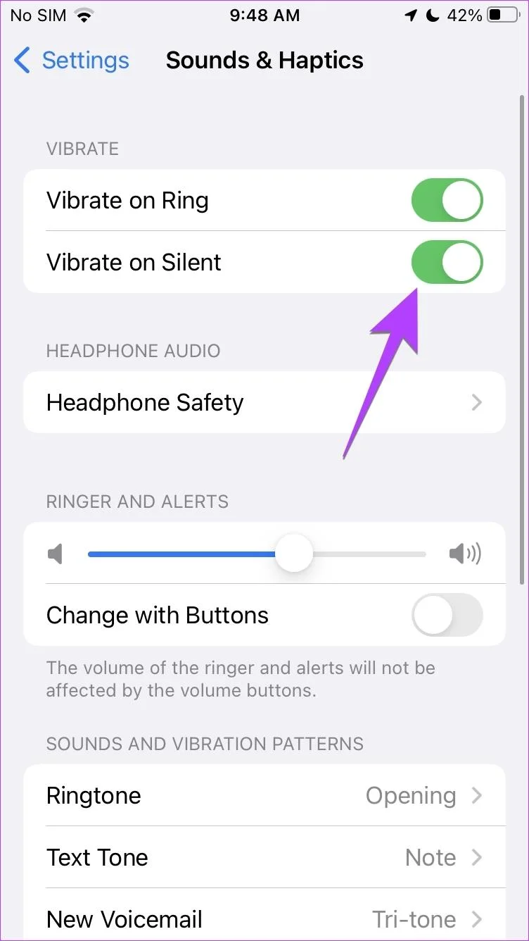 Hoe u de iPhone kunt laten trillen of niet kunt laten trillen op stil (iOS 17 bijgewerkt)