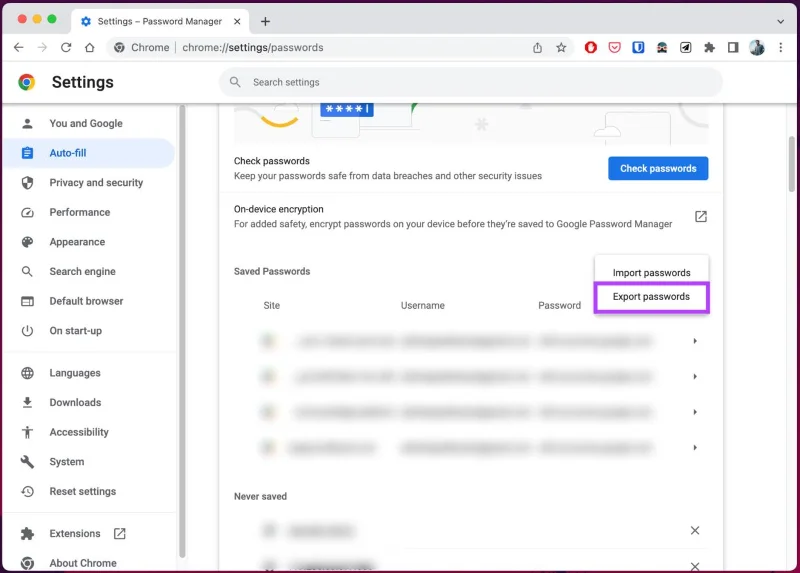 Hoe Chrome-wachtwoorden naar CSV te exporteren