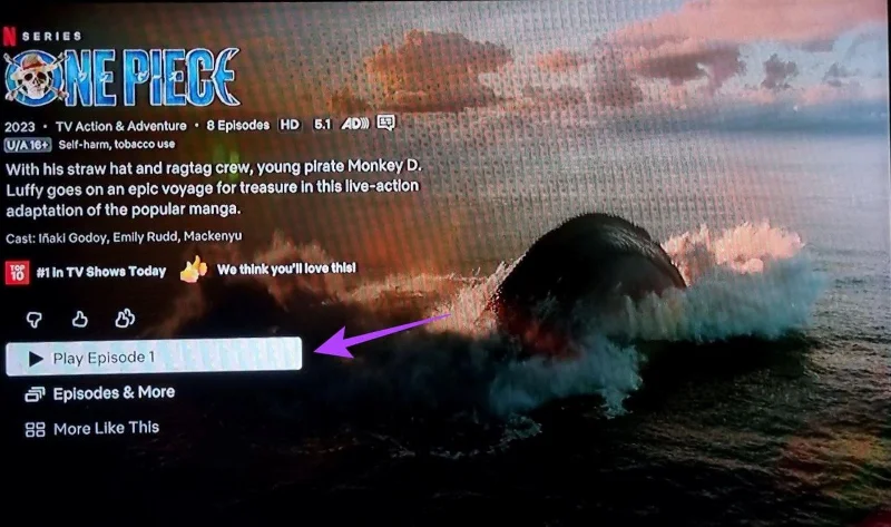 Come gestire le impostazioni dei sottotitoli Netflix su qualsiasi dispositivo