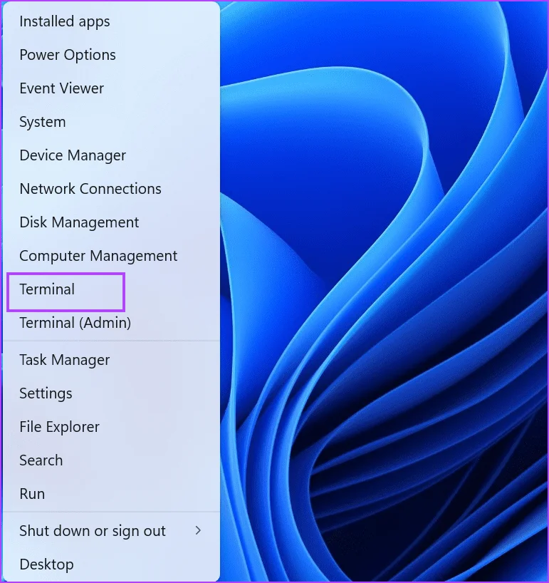 5 façons rapides de réinitialiser le Microsoft Store dans Windows 11
