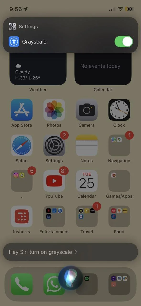 6 façons simples d'activer les niveaux de gris sur iPhone et iPad