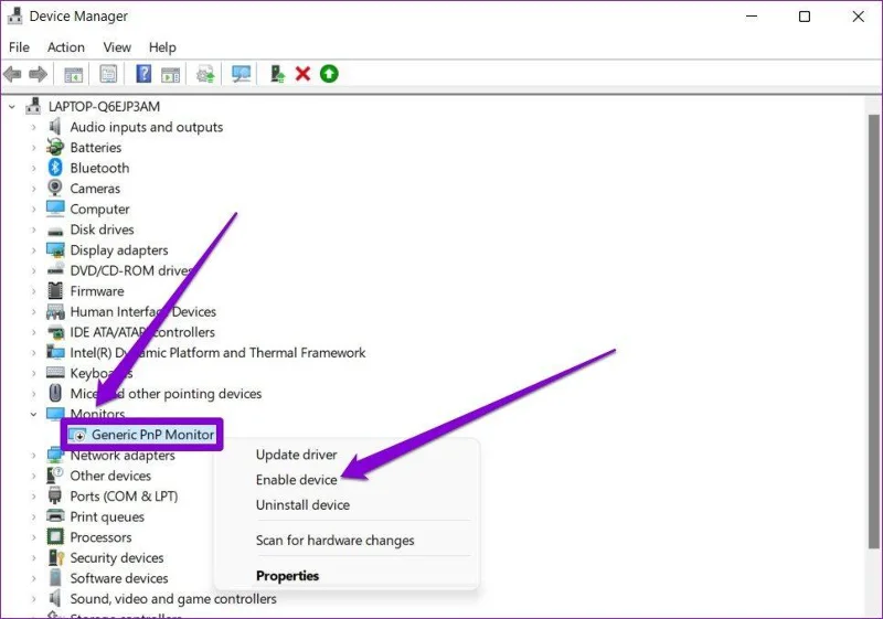 Habilitar monitor PnP en Windows 11