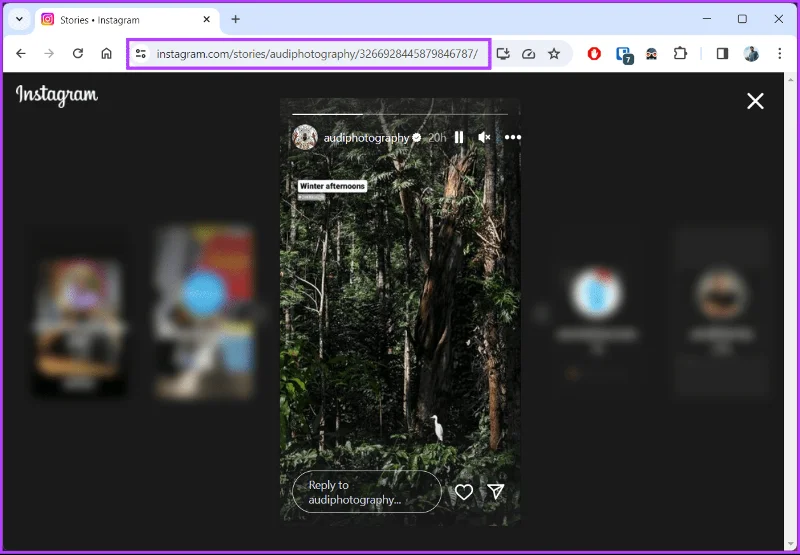 Come condividere (ripubblicare) la storia di qualcun altro su Instagram
