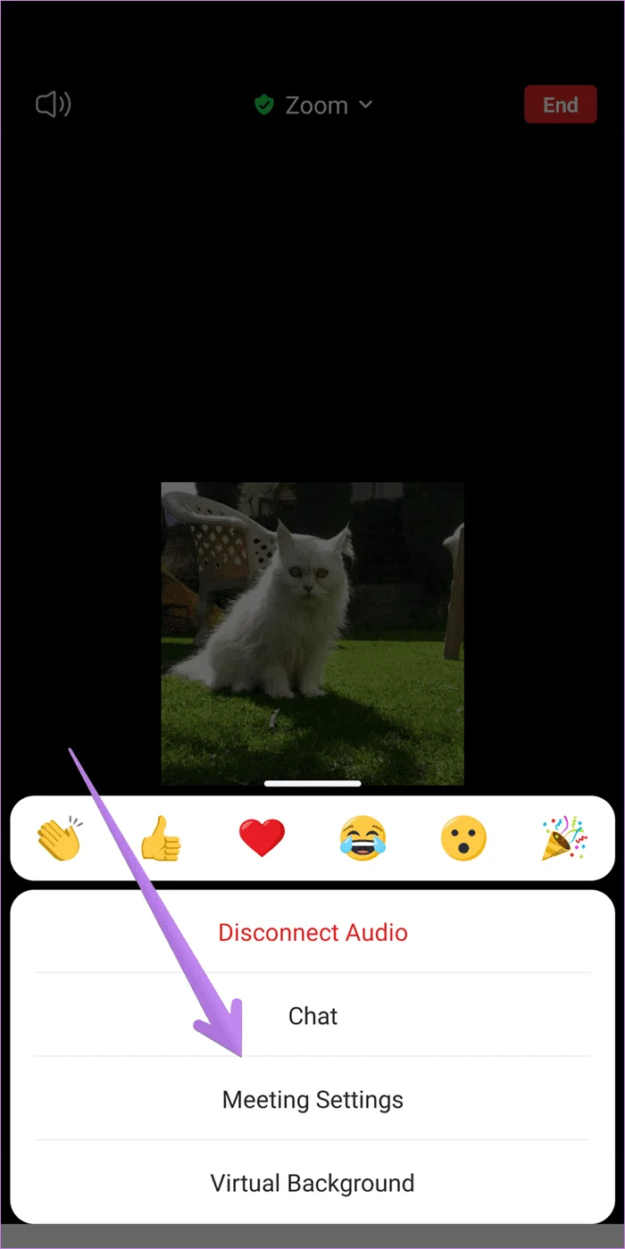 Come abilitare la condivisione dello schermo per i partecipanti su Zoom come host