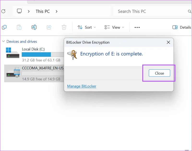 Cómo cifrar o descifrar una unidad flash USB en Windows 10 y 11