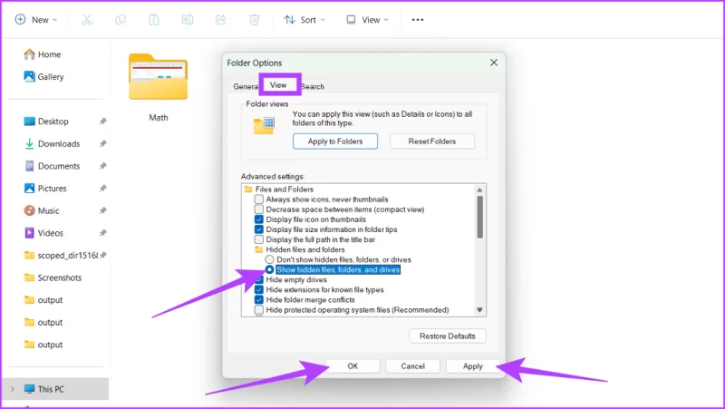 Cómo mostrar archivos y carpetas ocultos en Windows 11