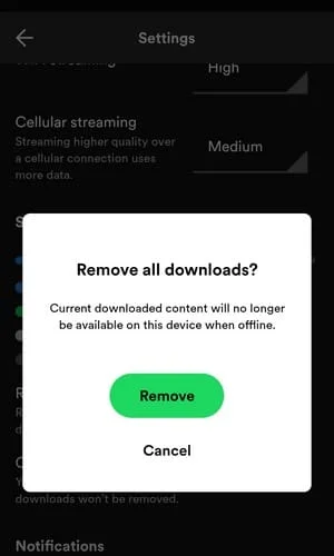 Verificați cât de mult spațiu ocupă melodiile Spotify