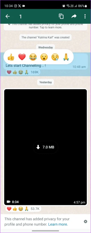 Canali WhatsApp e Canali Telegram: conosci le differenze