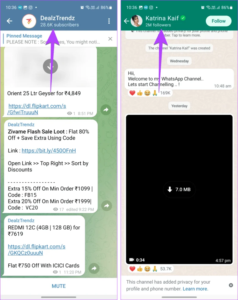 Canaux WhatsApp et canaux Telegram&nbsp;: connaître les différences