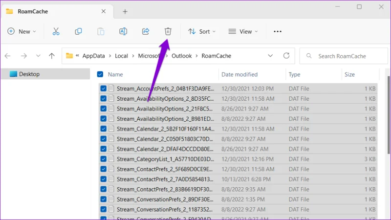 Eliminar archivos de la carpeta RoamCache