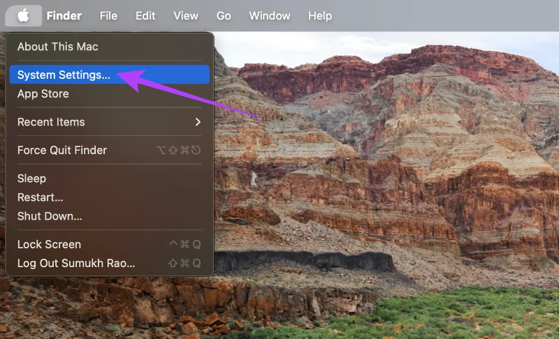 Come rimuovere carte, biglietti e altri elementi dal portafoglio Apple