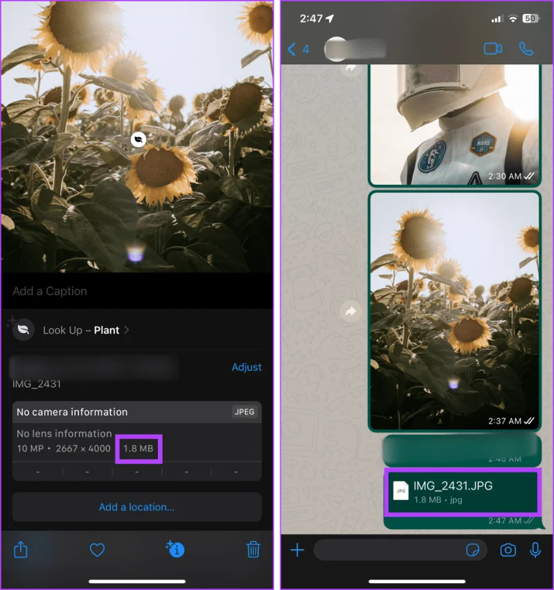 Hoe u afbeeldingen op origineel formaat op WhatsApp kunt verzenden vanaf iPhone en Android
