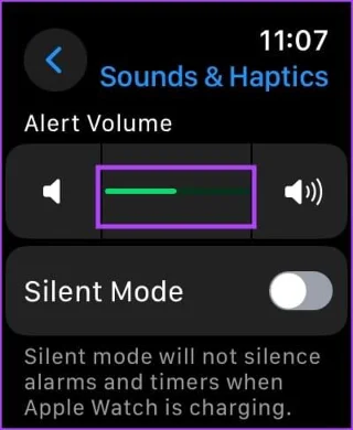 Come regolare il volume su Apple Watch