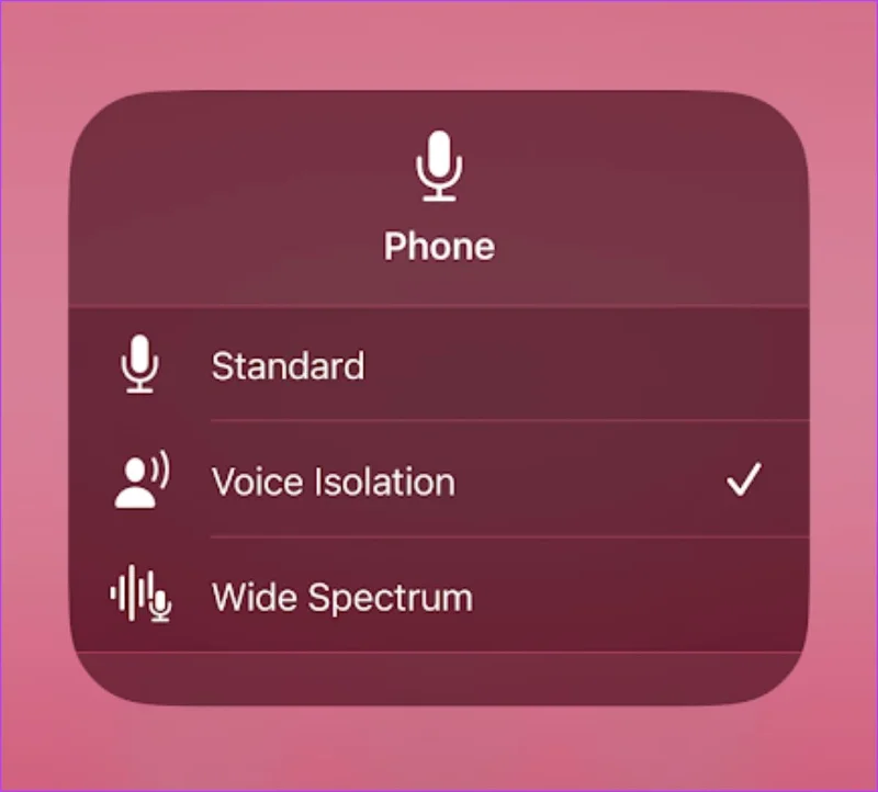 Spraakisolatie op de iPhone inschakelen en gebruiken