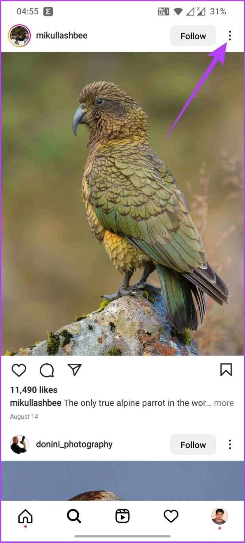 Hoe Instagram Explore-pagina op Android en iPhone te resetten