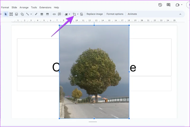 Come rendere circolari le immagini in Presentazioni Google