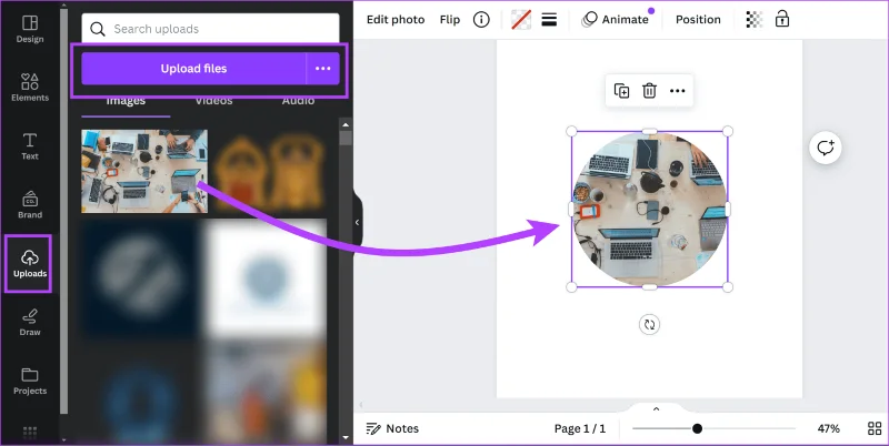 Canvaで写真をトリミングして形を整える方法