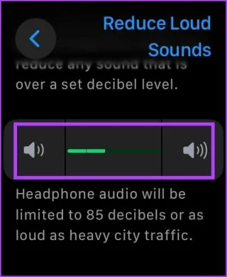 Come regolare il volume su Apple Watch