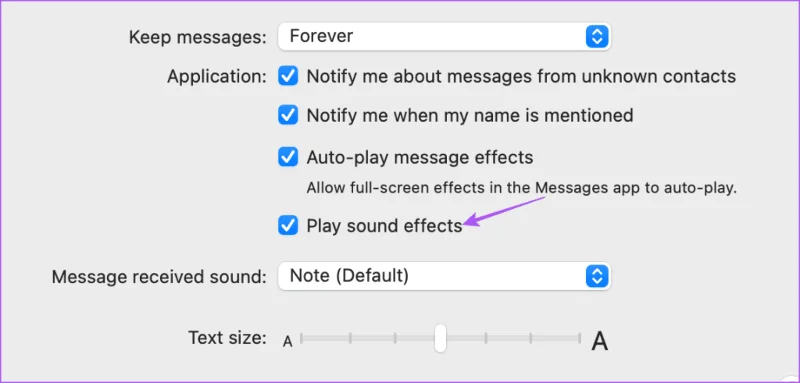 5 migliori soluzioni per gli effetti sonori di iMessage che non funzionano