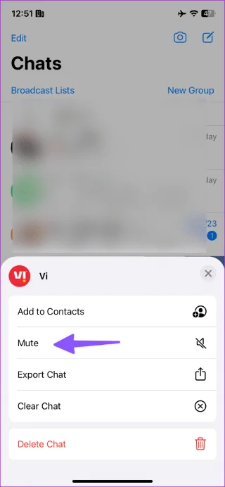 Disattivazione dell'audio di WhatsApp e archiviazione: comprendere le differenze